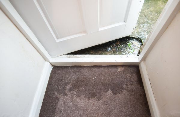 Wet Carpet Restoration in Dallas