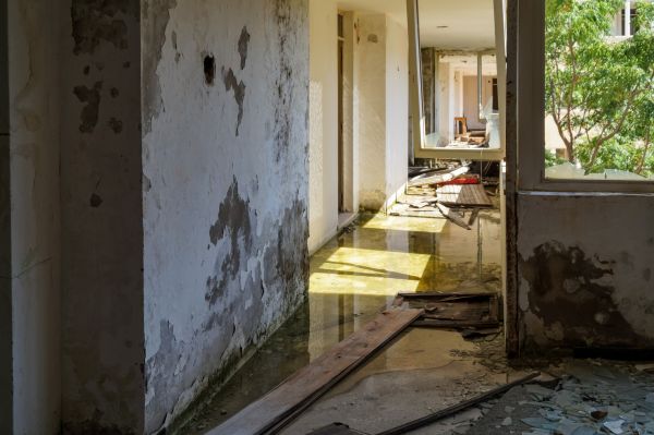 Cost of Water Removal Service in Dallas
