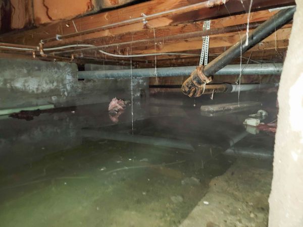 Water Mitigation Service in Dallas