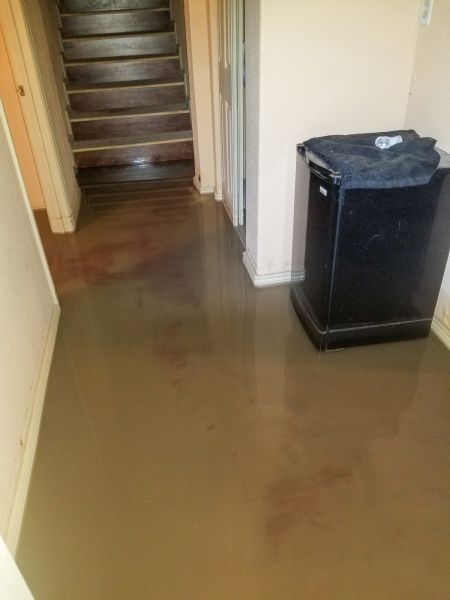 Emergency Water Removal in Dallas